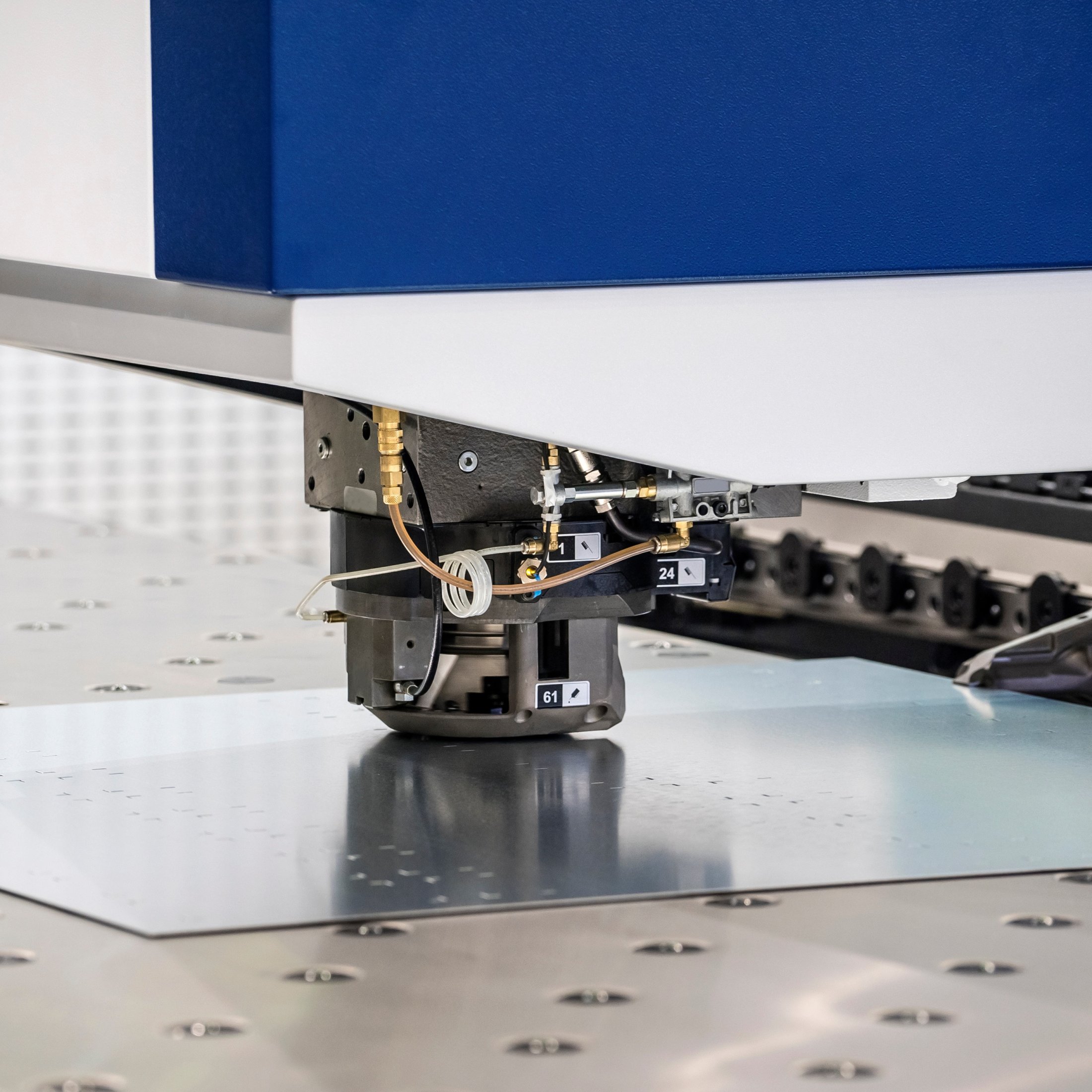 image_adobe_express (2)